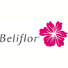 BELIFLOR